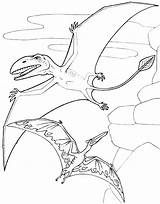 Coloring Pterosaur Template sketch template