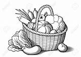 Basket Vegetables Clipart Vector Picnic Onion Drawing Baskets Stock Clip Illustration Wicker Stylized Tomatoes Vintage Royalty Line Eggplants Pumpkin Clipartmag sketch template