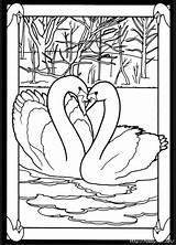 Coloring Pages Birds Glass Stained Book Dover Publications Swan Adult Bird Color Doverpublications Beautiful Patterns Colouring Swans Pairs Mated Transfer sketch template