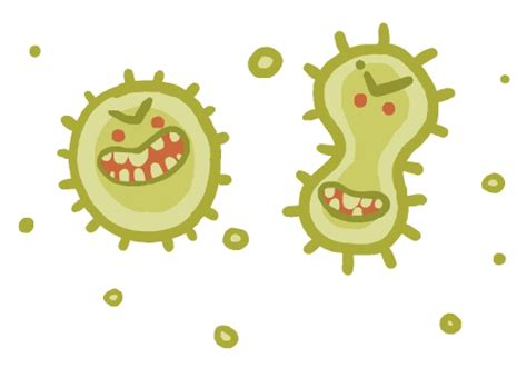 bacteria s find and share on giphy