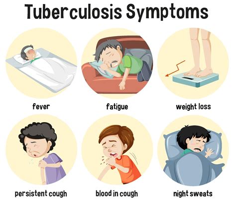 tuberculosis symptoms information infographic  vector art