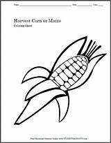 Harvest Maize sketch template