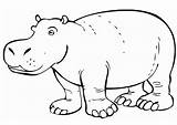 Hippo Coloring Pages Amazing Outline Drawing Netart Color Printable Getdrawings Face sketch template
