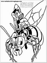 Coloring Pages Ant Man Lego Antman Template Printable Popular sketch template