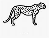 Coloring Cheetah Book Clipartkey sketch template