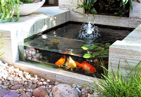 taman minimalis cantik  kolam ikan ponds backyard fish pond