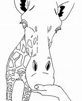 Giraffe Coloring Pages Printable Face Animal Outline Head Kids Giraff Sheets Animals Cute Cliparts Drawings Clipart Line Cartoon Print Library sketch template