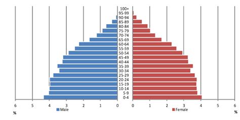 papp101 s03 how demographers think about populations age and sex