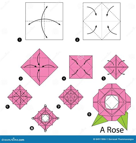 step  step instructions    origami  rose vector