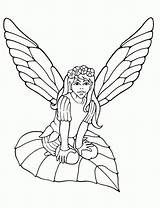 Fairy Coloring Pages Adults sketch template