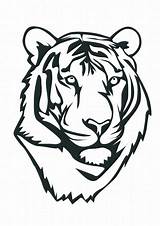 Tiger Face Outline Drawing sketch template