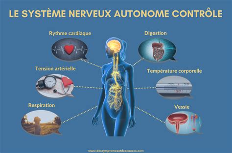 systeme nerveux autonome en etat de defense chronique