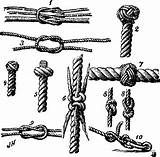 Knute Knop Knots sketch template