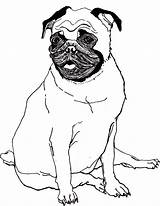 Pug Coloring Pages Cute Puppy Printable Dog Baby Kids Pugs Sheets Cartoon Drawing Color Print Bestcoloringpagesforkids Animal Big Popular Trending sketch template
