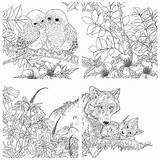 Animals Woodland Kayliebooks sketch template