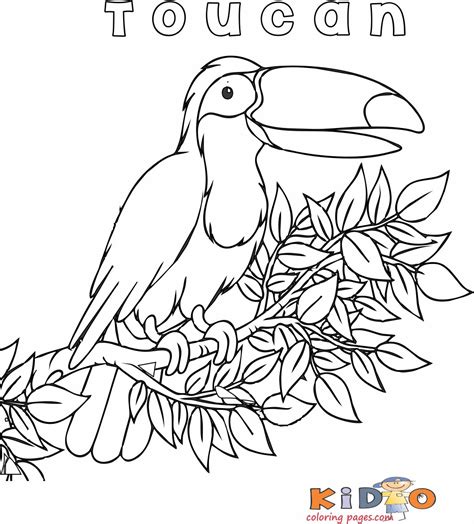 toucan bird coloring page preschoolers kids coloring pages