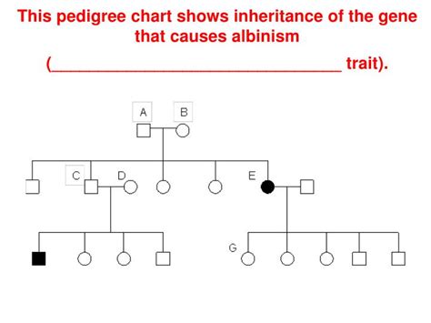 Ppt Chapter 14 Human Heredity Genetics Ii Powerpoint