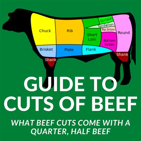 cuts  beef    quarter beef  beef side beef