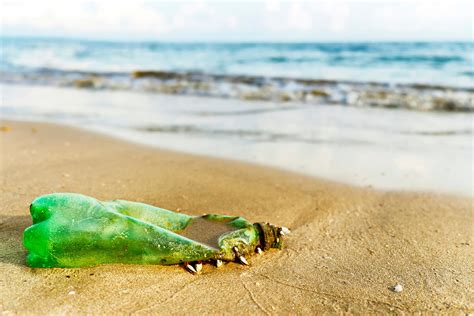una bacteria   plastico la evolucion dice basta