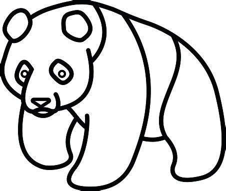 panda outline vector illustration stock illustration  image