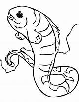 Eel Coloring Electric Pages Moray Getcolorings Color Wolf sketch template