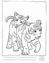 Tiger Coloring Pages Baby Cute Tigers Lsu Sheets Printable Kids Mother Colouring Color Footprints Cub Animals Print Cubs Drawing Colour sketch template