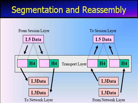 Networking Dccn Osi Reference Model