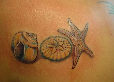 seashell tattoos for women skydragon dreams tattoo