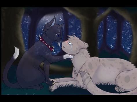 Scourge Ashfur Warrior Cats Scourge Warrior Cat