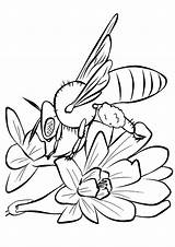 Coloring Bee Pages Bumblebee Flower Printable Sucking Parentune Kids Worksheets sketch template