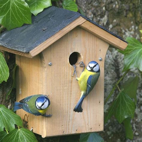 portland slate mm nest box cj wildlife uk bird house bird house feeder nesting boxes