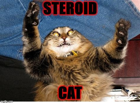 steroids memes and s imgflip