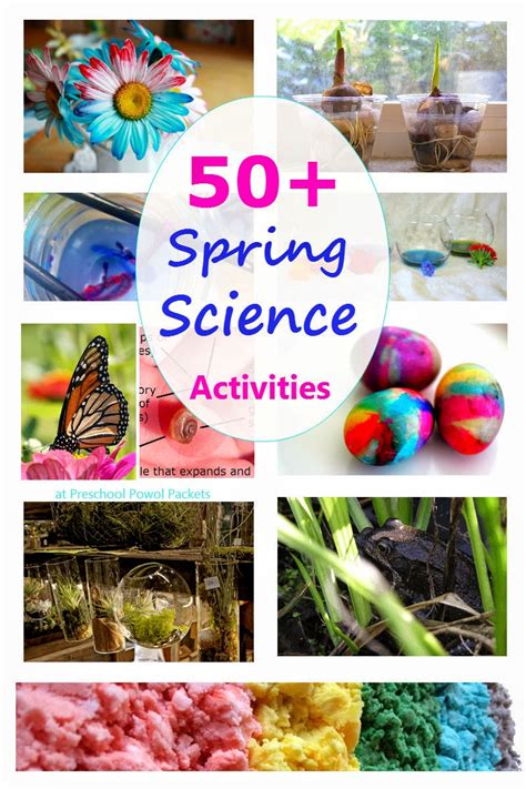 spring science experiments  activities preschool