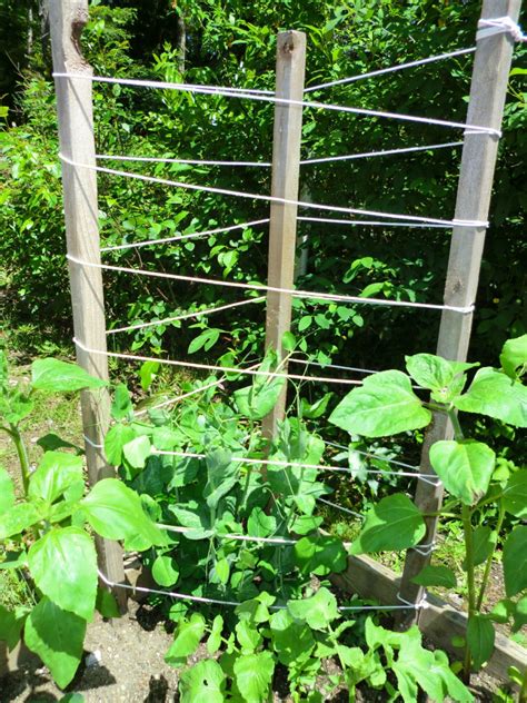 making  garden trellis thriftyfun