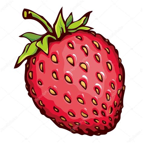 fraise dessin vectoriel image vectorielle marinka