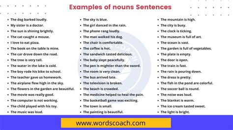 examples  nouns sentences  english word coach