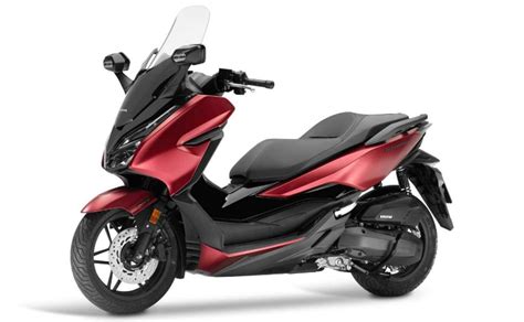 honda forza     answer  suzuki burgman street