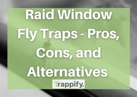 raid window fly traps pros cons  alternatives trappify