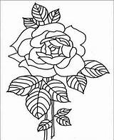 Roses Designlooter sketch template