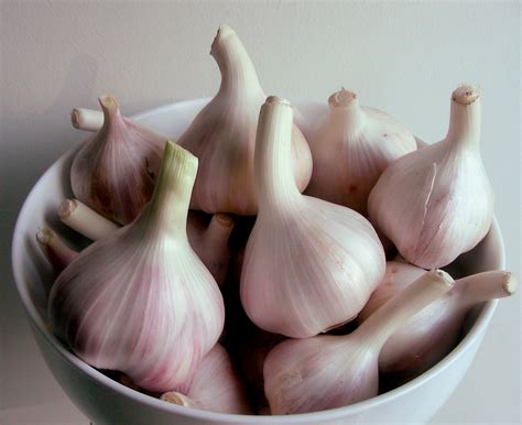 cook garlic  smelling  garlic dish  dish