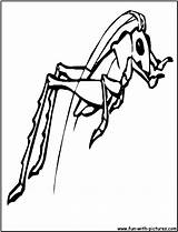 Cricket Coloring Pages Insect Insects Silhouette Fun Clipart Colouring Color sketch template