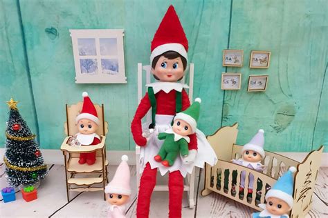 elf   shelf     elf babies parents