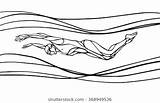 Swimmer Zwemmen Vlinderslag Nuoto Farfalla Papillon Nageur Dolphin Nuotatore Natation Silhouet Zwemmer Stockillustratie Modello Depuis Illustrazione sketch template