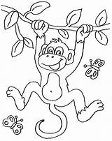 Affe Ausmalbilder Tiere Affen Malen Malvorlage Dschungel Zeichnen Ausmalbild Kinderbilder Schablone Safari Wort Zootiere Fasching Pinnwand Auswählen Urwald Ausmalbilderpferde Monkeys sketch template