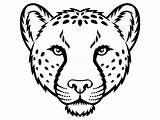 Cheetah Face Leopard Drawing Head Logo Easy Sketch Tattoo Draw Jaguar Clipart Vector Mascot Shutterstock Getdrawings Illustration Stock Drawings Ideal sketch template