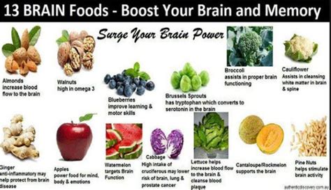 memory boosting foods you need to eat right now
