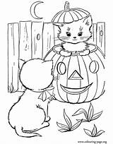 Halloween Pumpkin Cute Coloring Kittens Two Pages sketch template