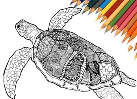 coloring page sea turtle print  adults  farfalladorata