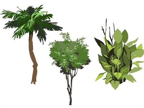 tree grass  grass herbs drawings design grasses herb