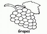 Grapes Raisins Raisin Kindergarten Bunch sketch template